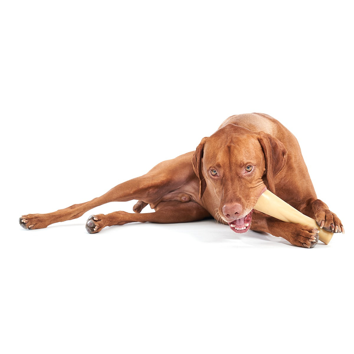 Mighty Bone Bacon Super Chewer Durable Gnaw Dog Toy