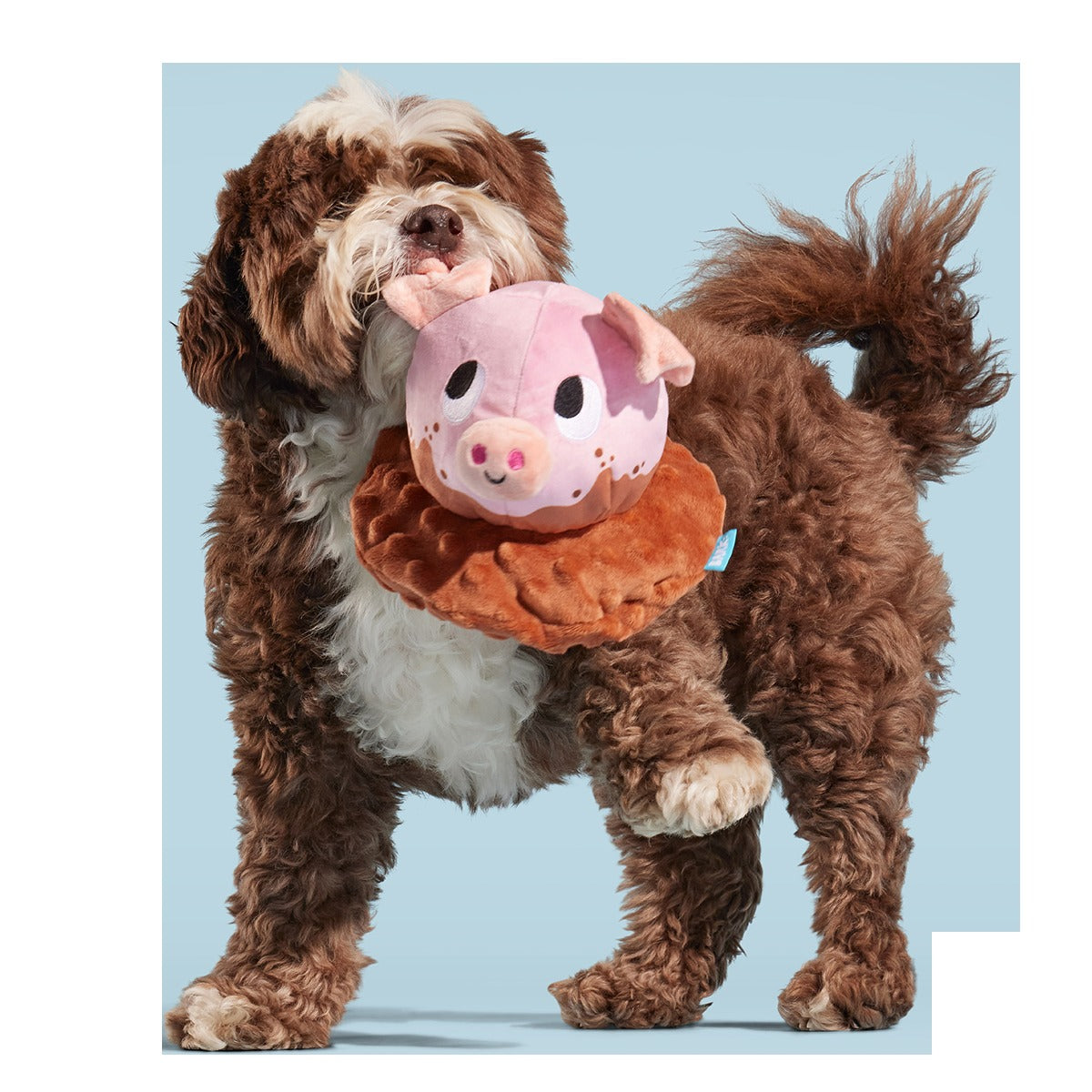 Muddy Maude Plush Fetch Dog Toy