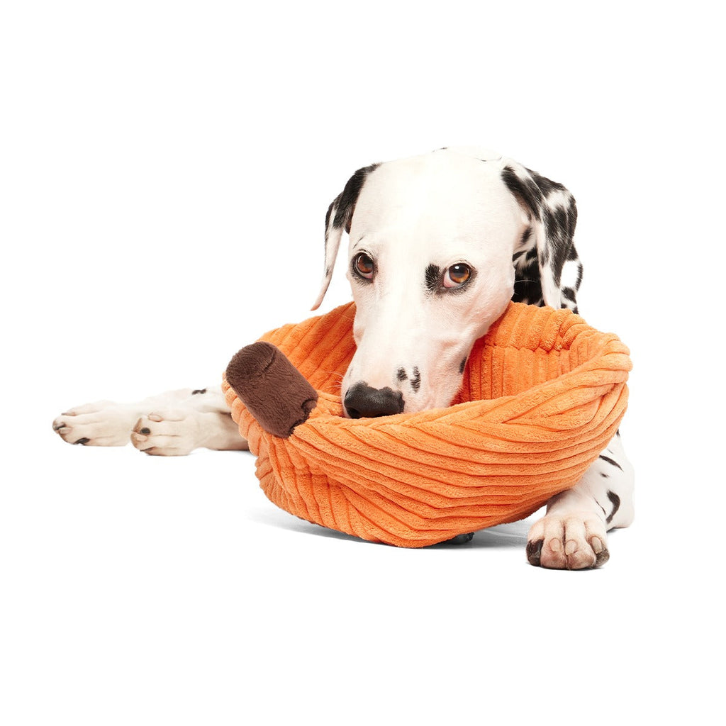 Chumpkin Plush Tug Dog Toy