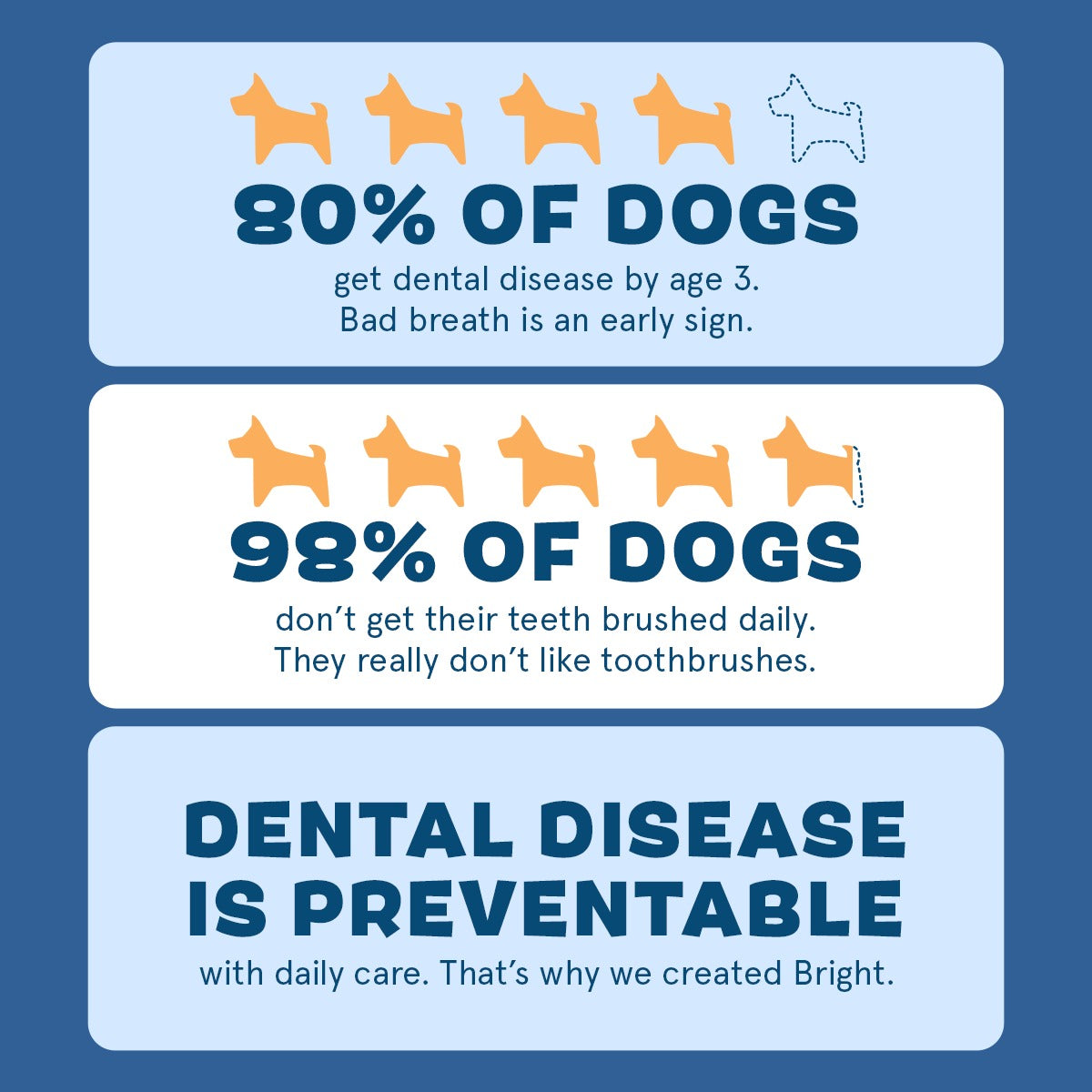 Bright Durable Dental Kit, 15 Ct Chews + Toothpaste