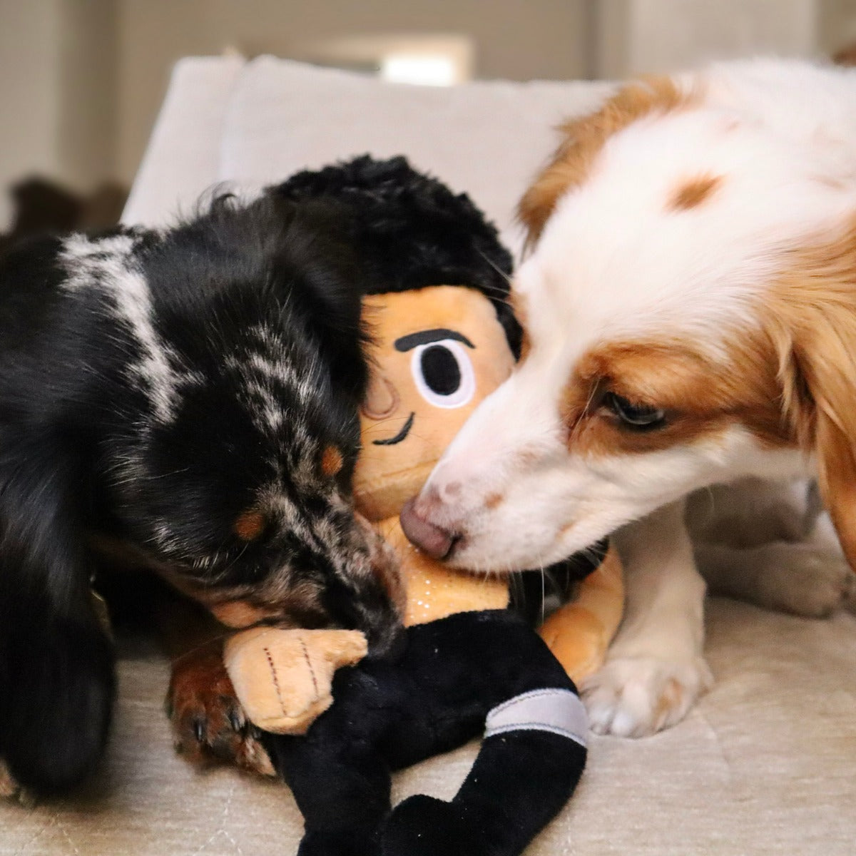 Life Finds A Play Plush Tug Dog Toy