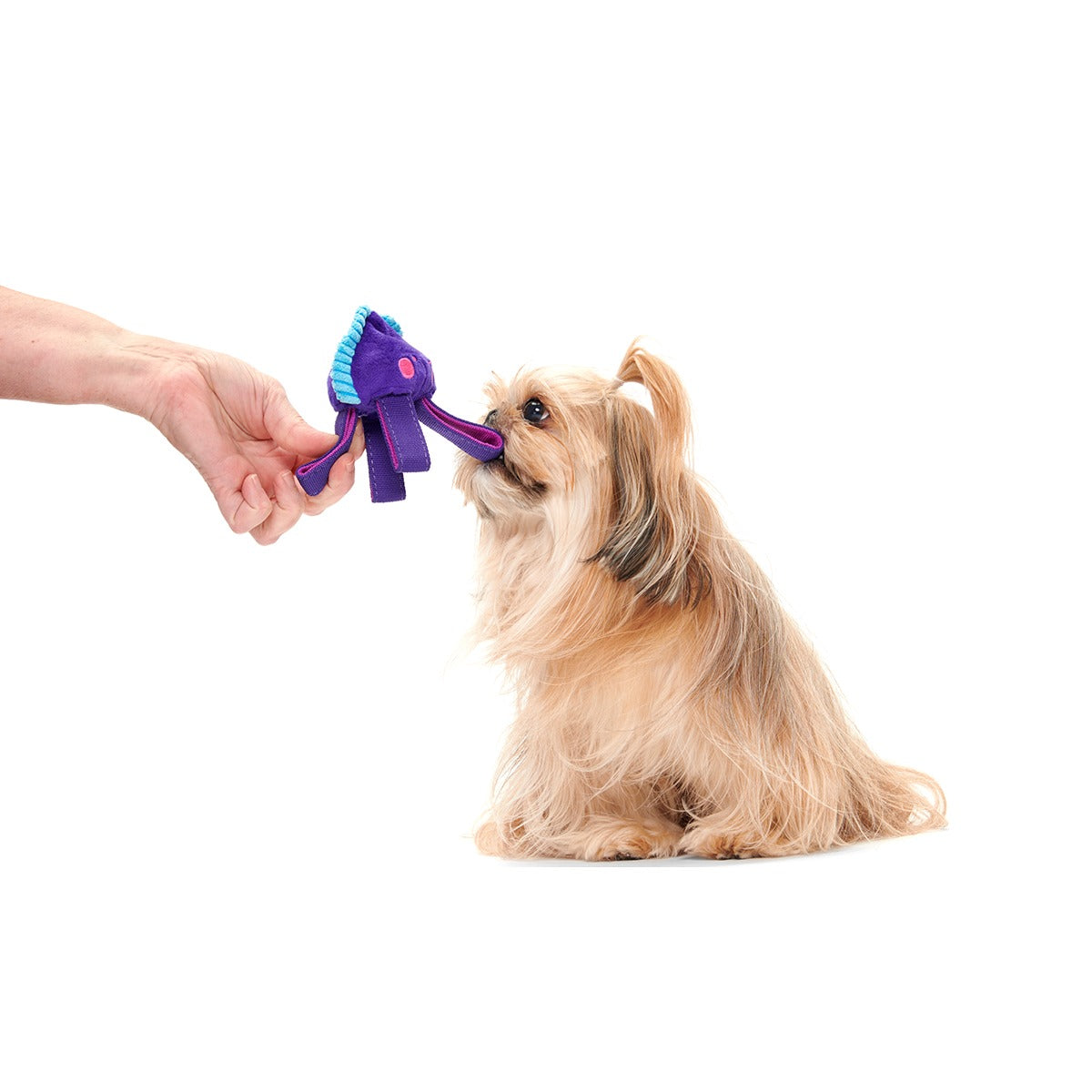 Karen Kraken Super Chewer Durable 2-in-1 + Tug Dog Toy