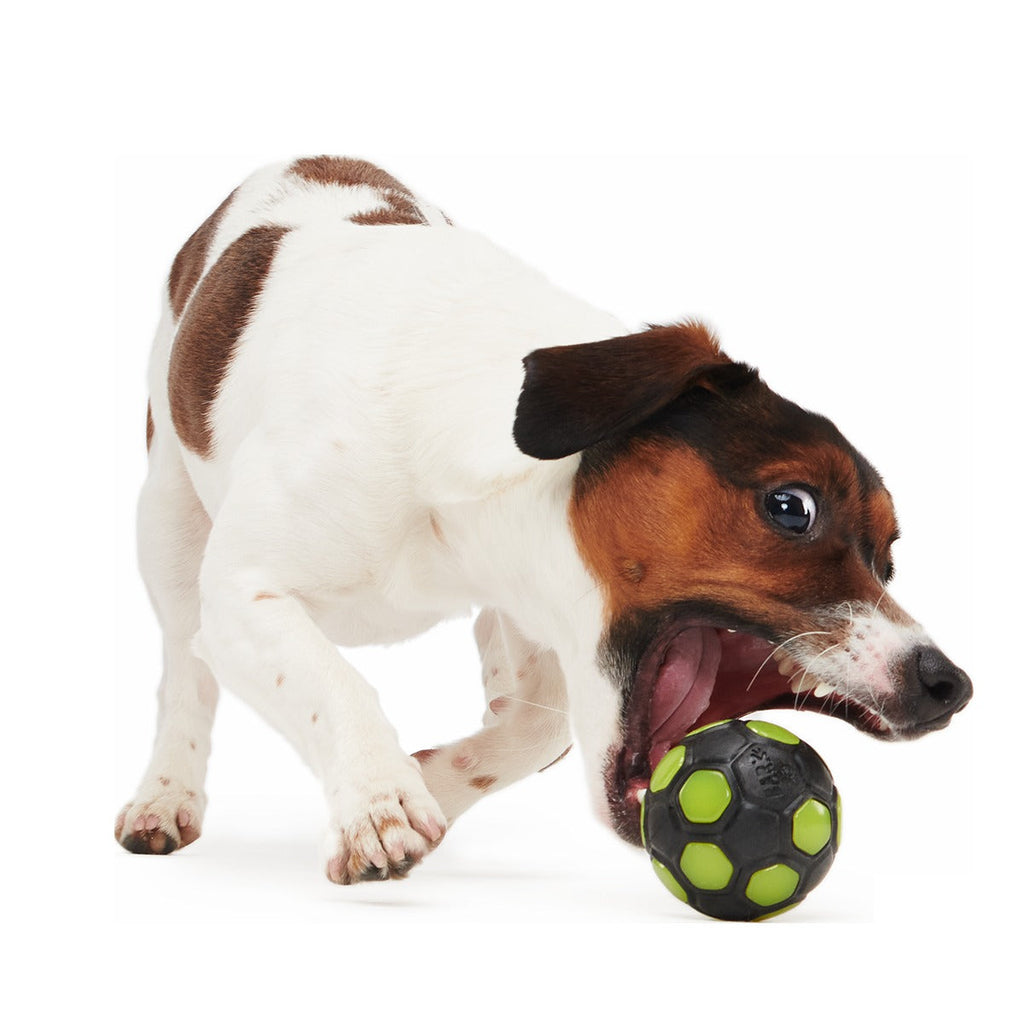 World Pup Snacker Ball Super Chewer Durable Enrichment + Fetch Dog Toy