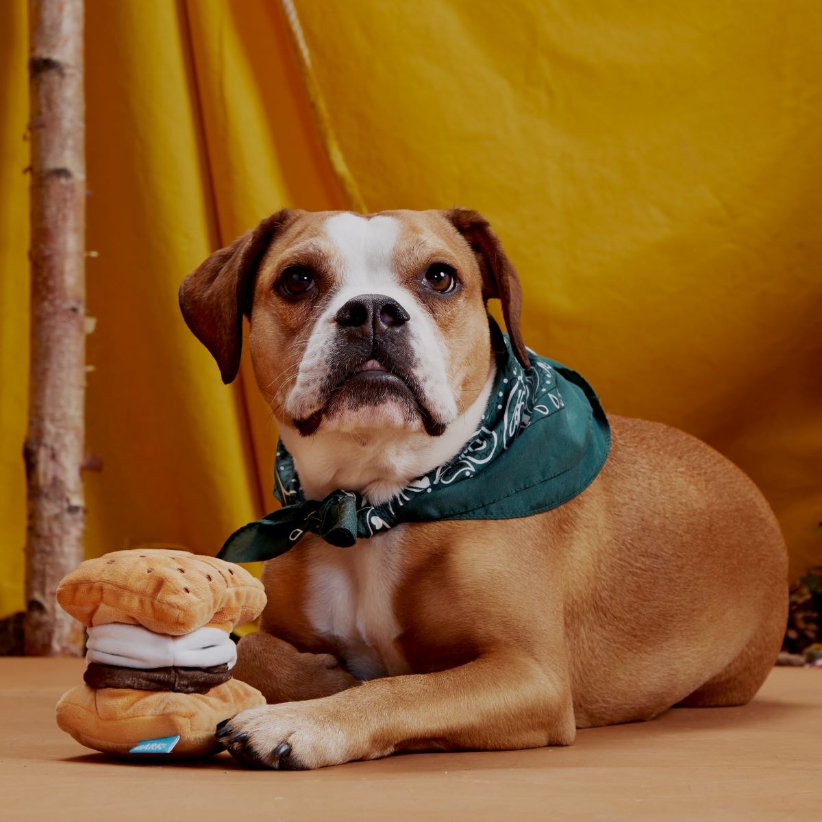 More S'mores Plush Tug Dog Toy