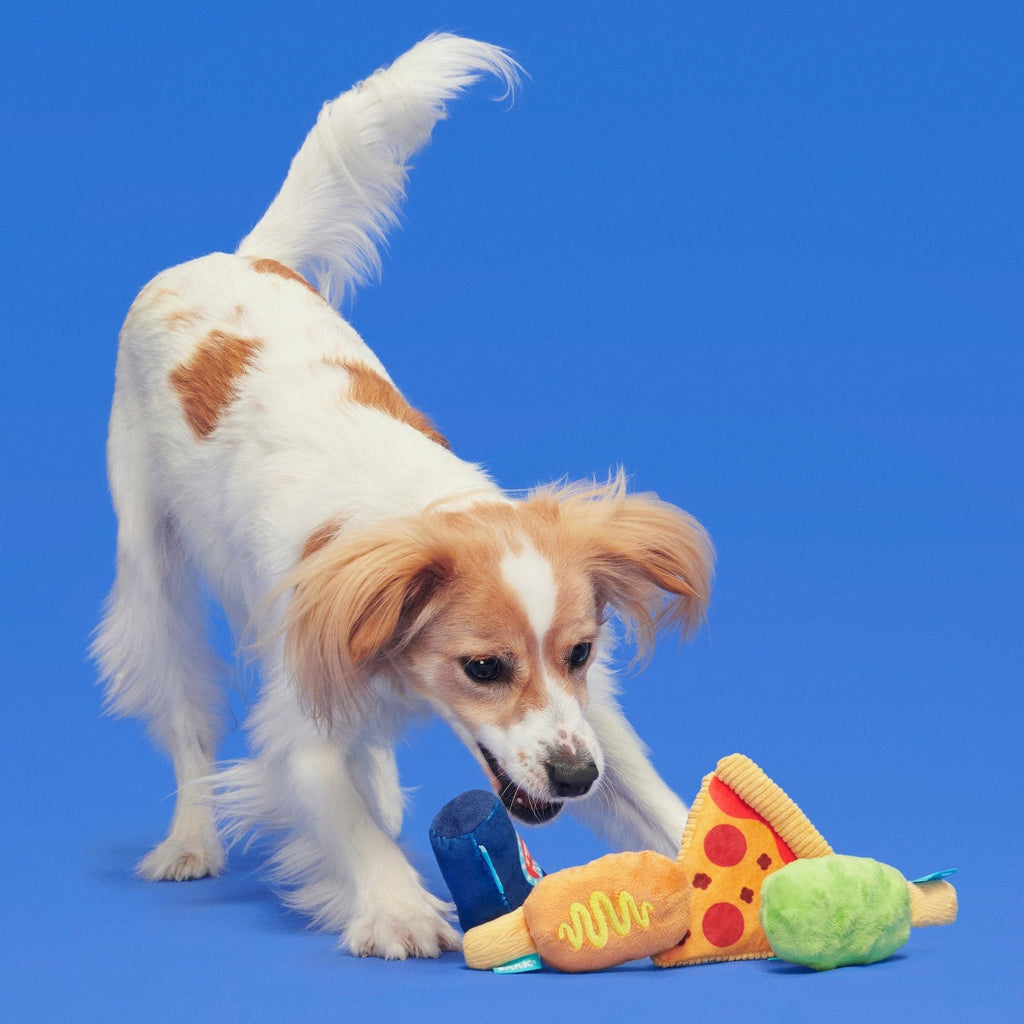 Thrill Squeaker Snacks Plush Multi-Part Dog Toy