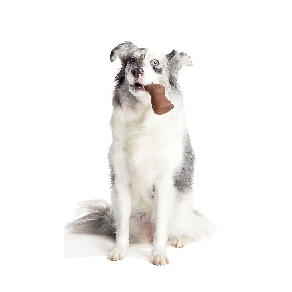 Yummy Bunny Super Chewer Durable Gnaw Dog Toy