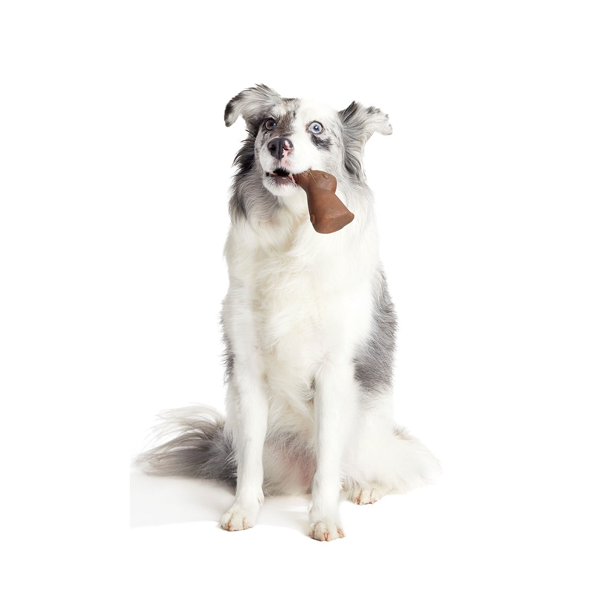 Yummy Bunny Super Chewer Durable Gnaw Dog Toy