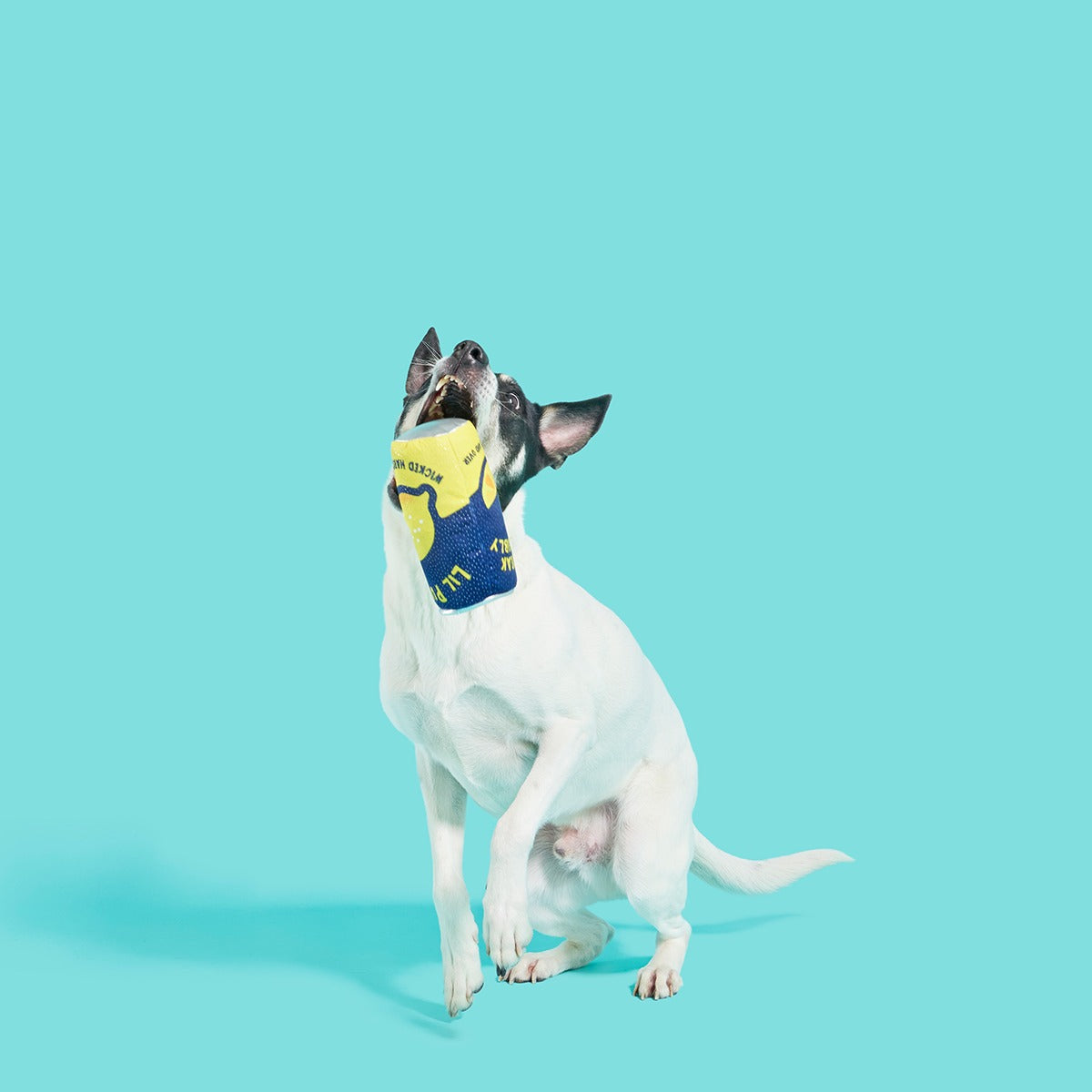Lil' Pucker's Plush Dog Toy