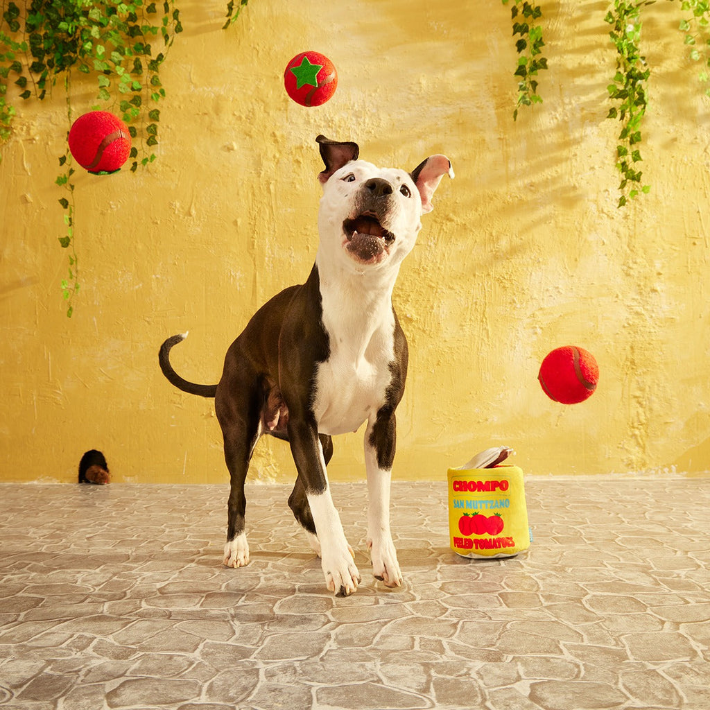 San Muttzano Tomatoes Plush Multi-Part + Enrichment + Fetch Dog Toy