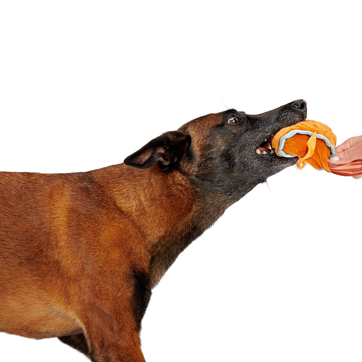 Cocktail Club, Plush Cocktail Monthly Dog Toys