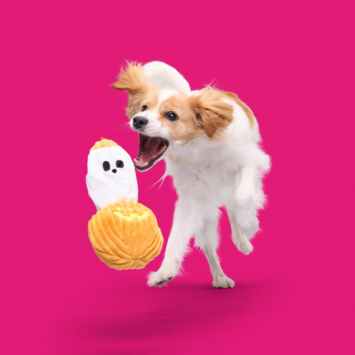 Eek-a-Boo Pumpkin Plush Enrichment Dog Toy