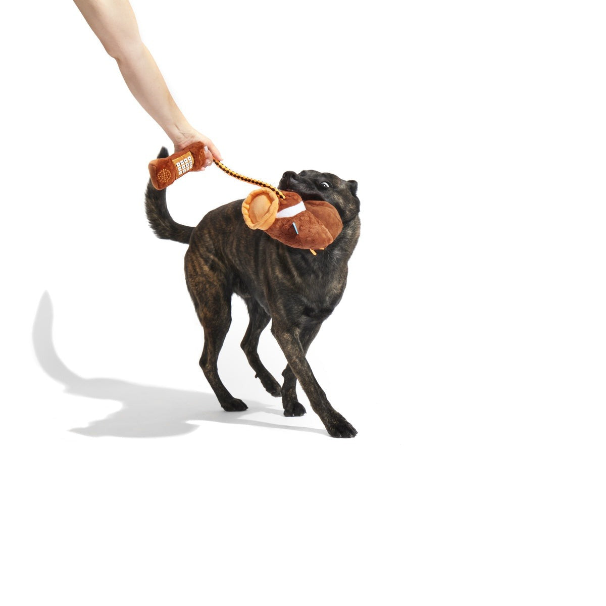 Go Long Distance Call Plush Tug Dog Toy