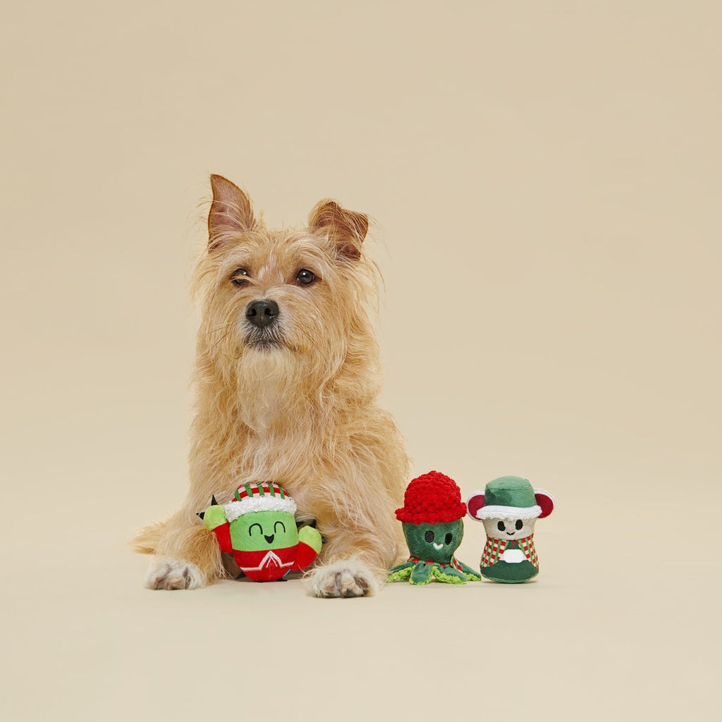 Sing Song Ding Dongs Multipart Plush Multi-Part Dog Toy