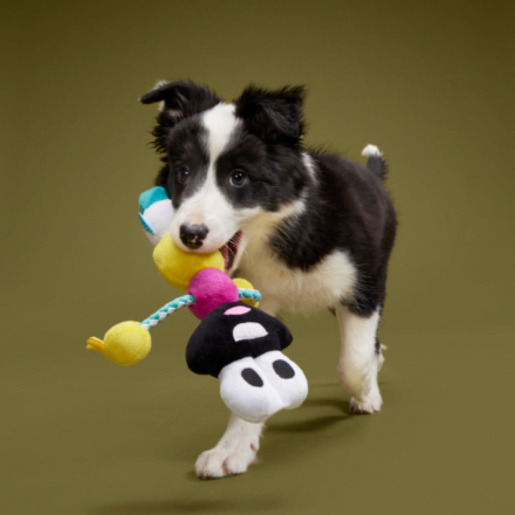 Mr. DNA Plush Tug Dog Toy