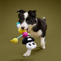 Mr. DNA Plush Tug Dog Toy