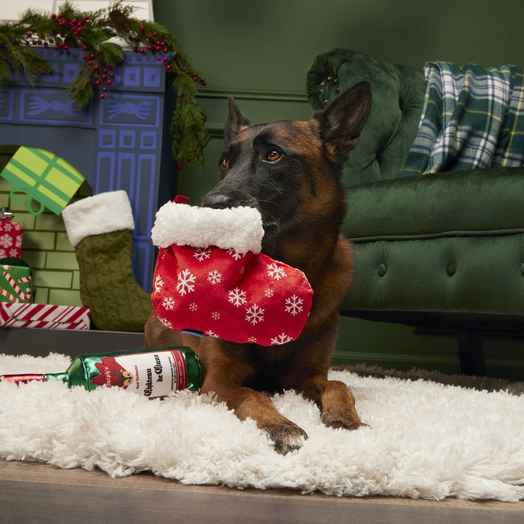 Jolly Juice Stocking Plush Multi-Part Dog Toy