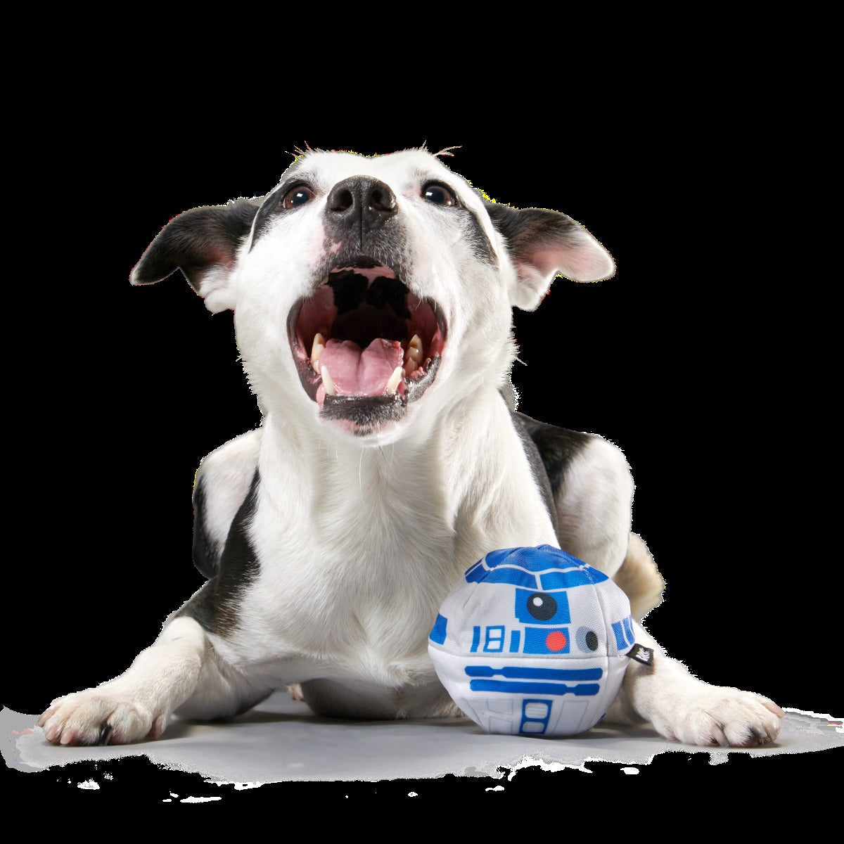 Chew Are My Only Hope Super Chewer Durable 2-in-1 + Fetch Dog Toy