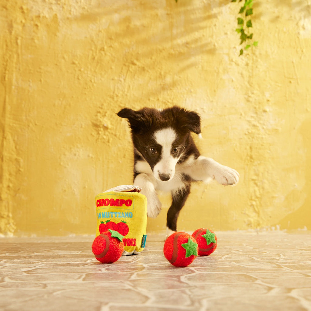 San Muttzano Tomatoes Plush Multi-Part + Enrichment + Fetch Dog Toy