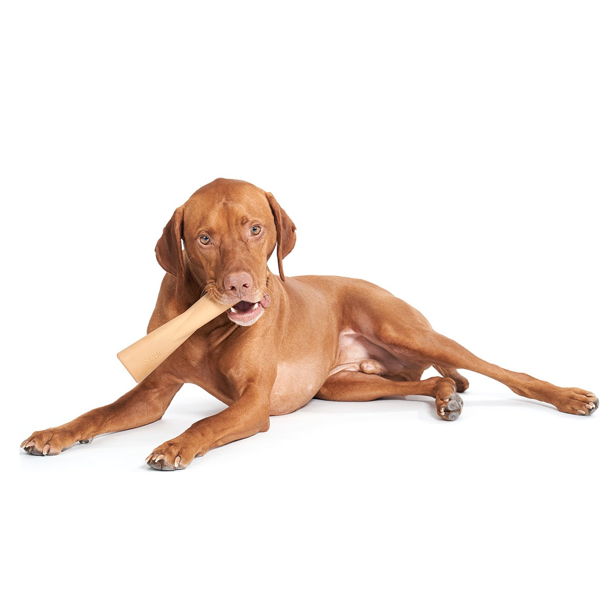 Mighty Bone Super Chewer Durable Gnaw Dog Toy