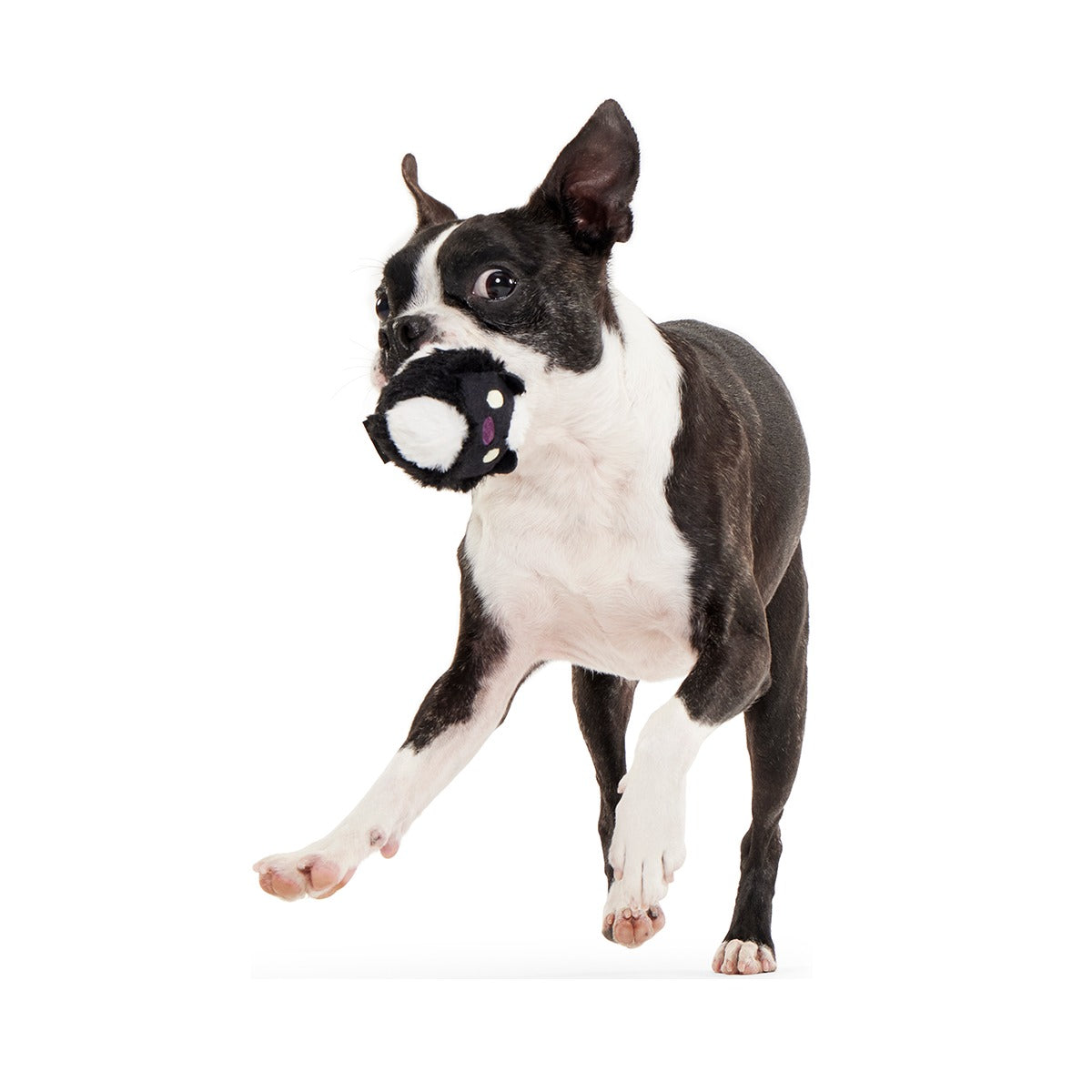 Hunky Skunky Super Chewer Durable 2-in-1 + Fetch Dog Toy