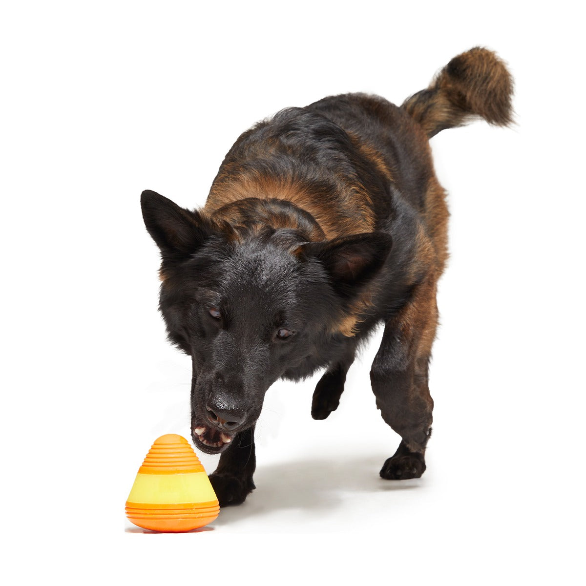 Canine Corn Super Chewer Durable Gnaw + Enrichment Dog Toy