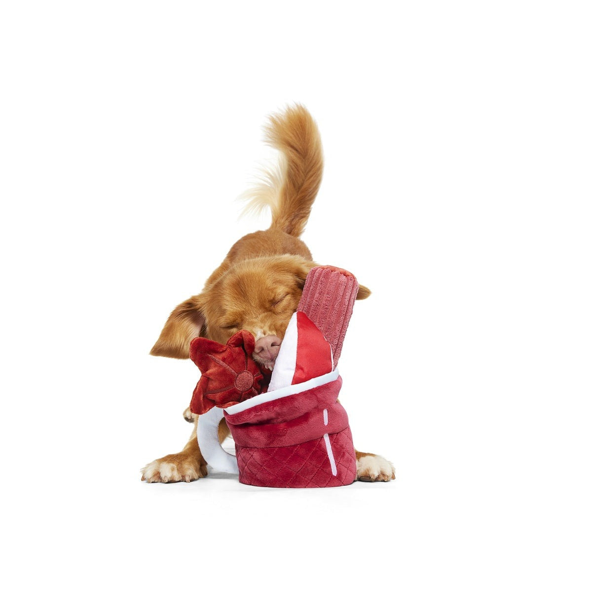 Mulled Wine Plush Tug Dog Toy