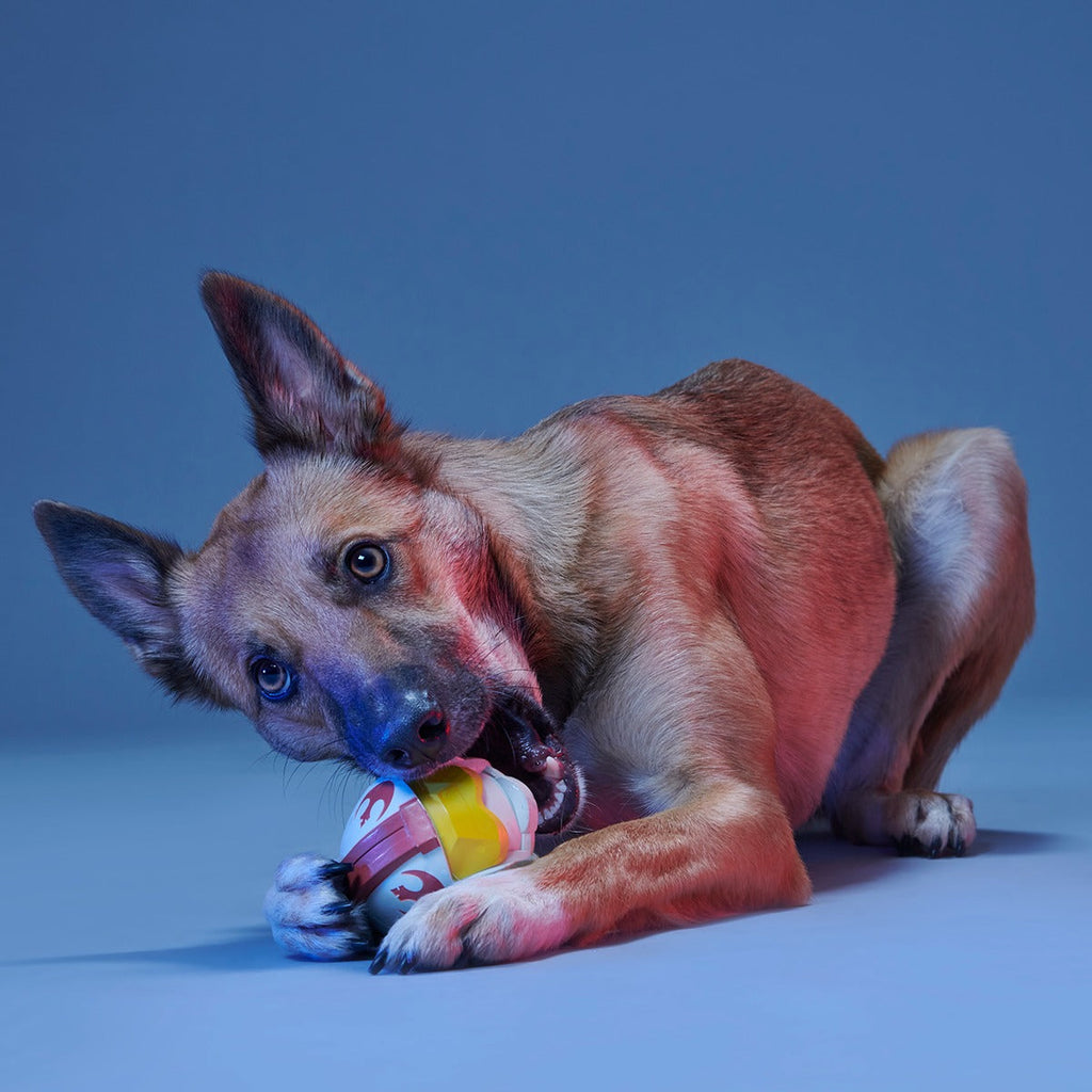 Fetch My Rebel Helmet Super Chewer Durable Fetch Dog Toy