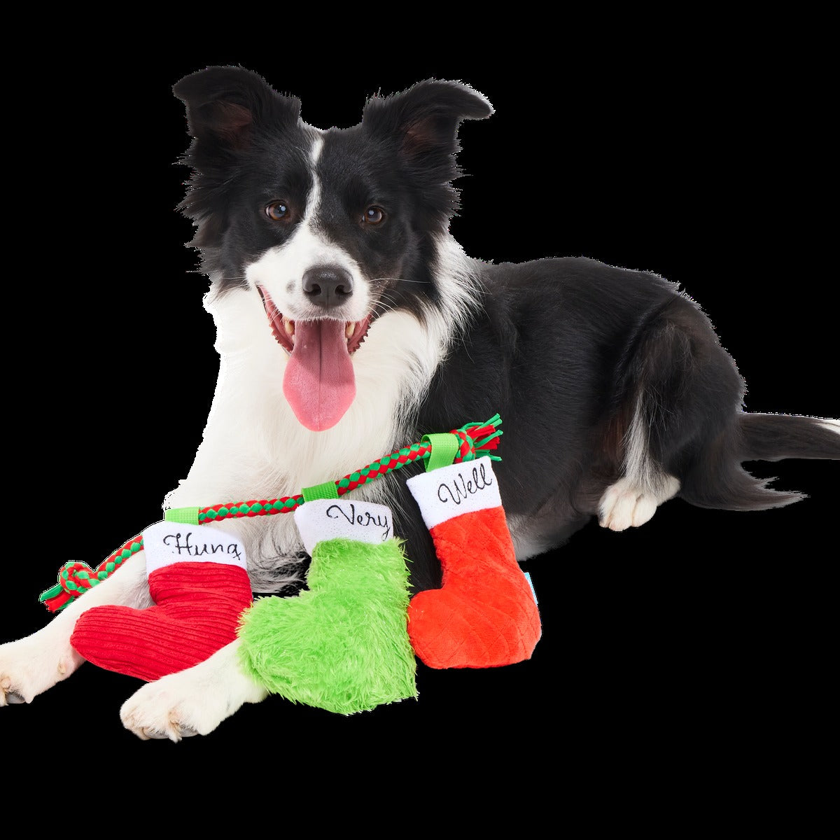 Well Hung Stockings Plush Tug Dog Toy