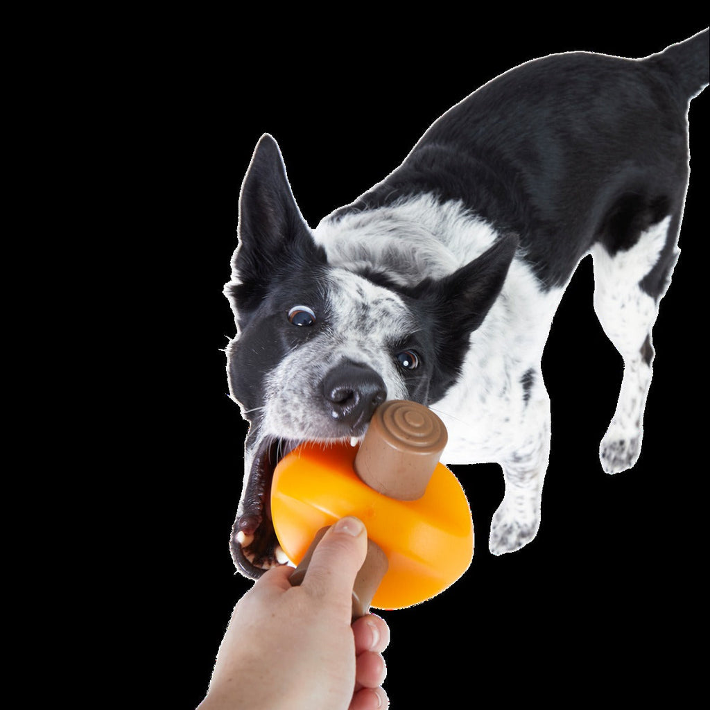 Chompfire Super Chewer Durable Gnaw Dog Toy