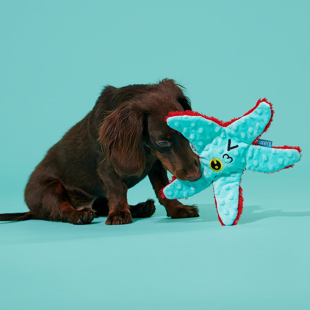 Carl Starfish Plush Tug Dog Toy
