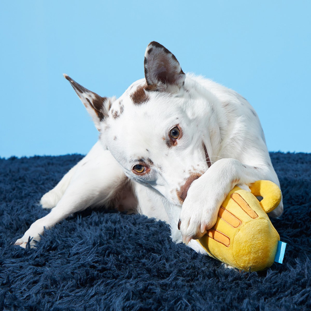 Hair of the Dog Plush 2-in-1 + Tug Dog Toy