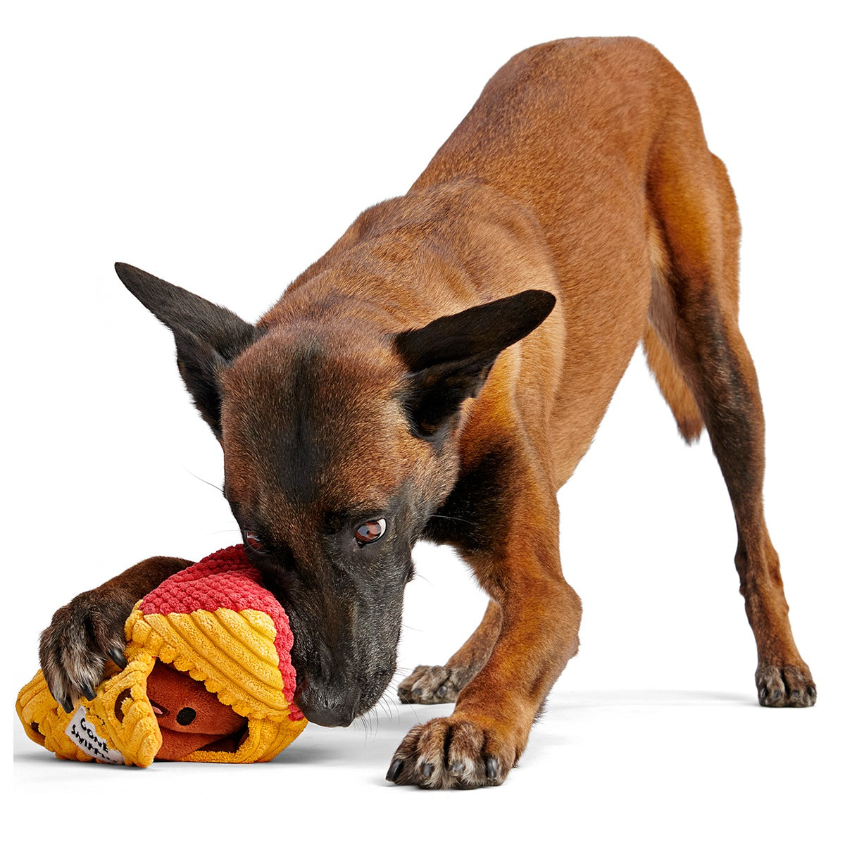 Turdbert's Snouthouse Plush Multi-Part + Enrichment Dog Toy