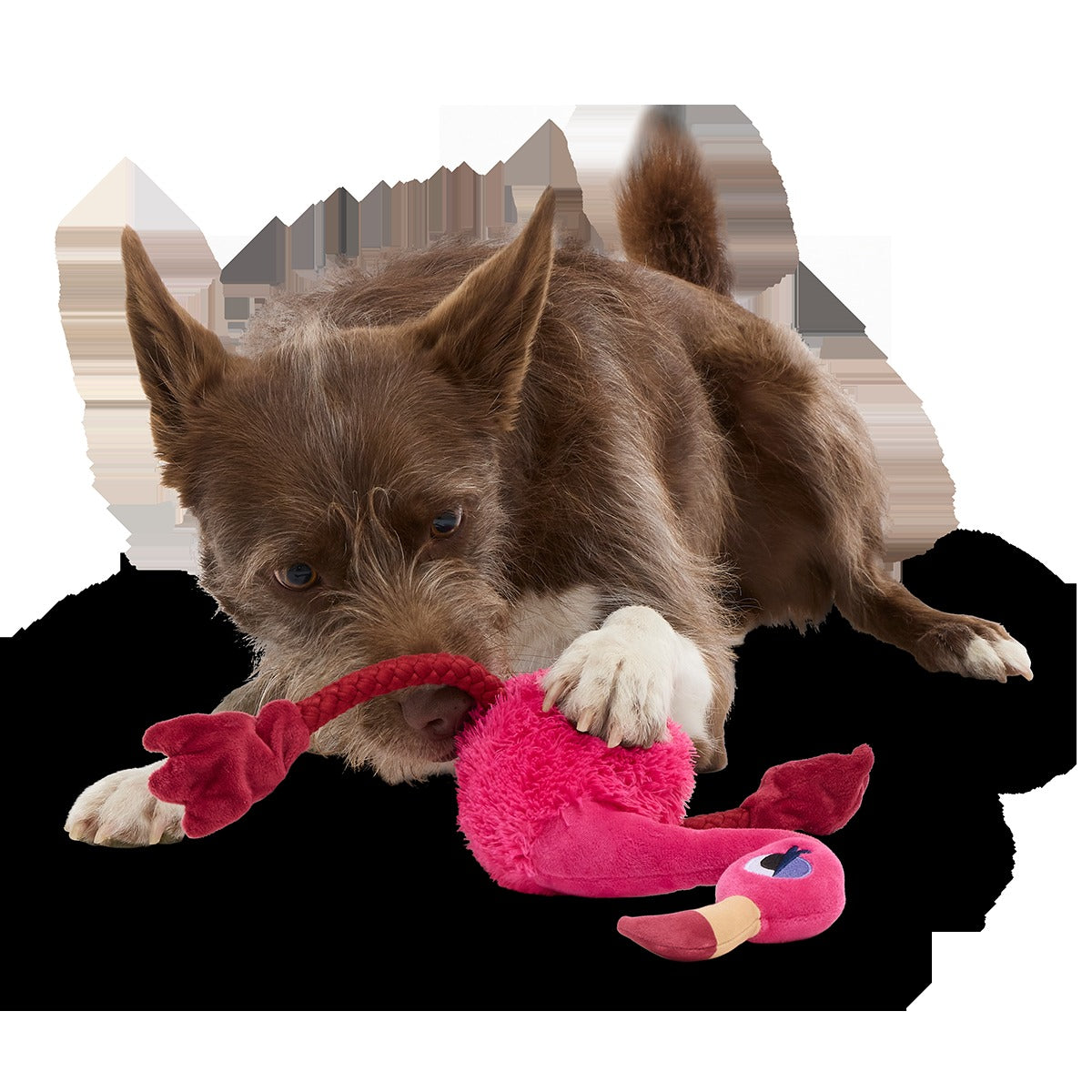 Fahari Flamingo Plush Extra-Large + Tug Dog Toy