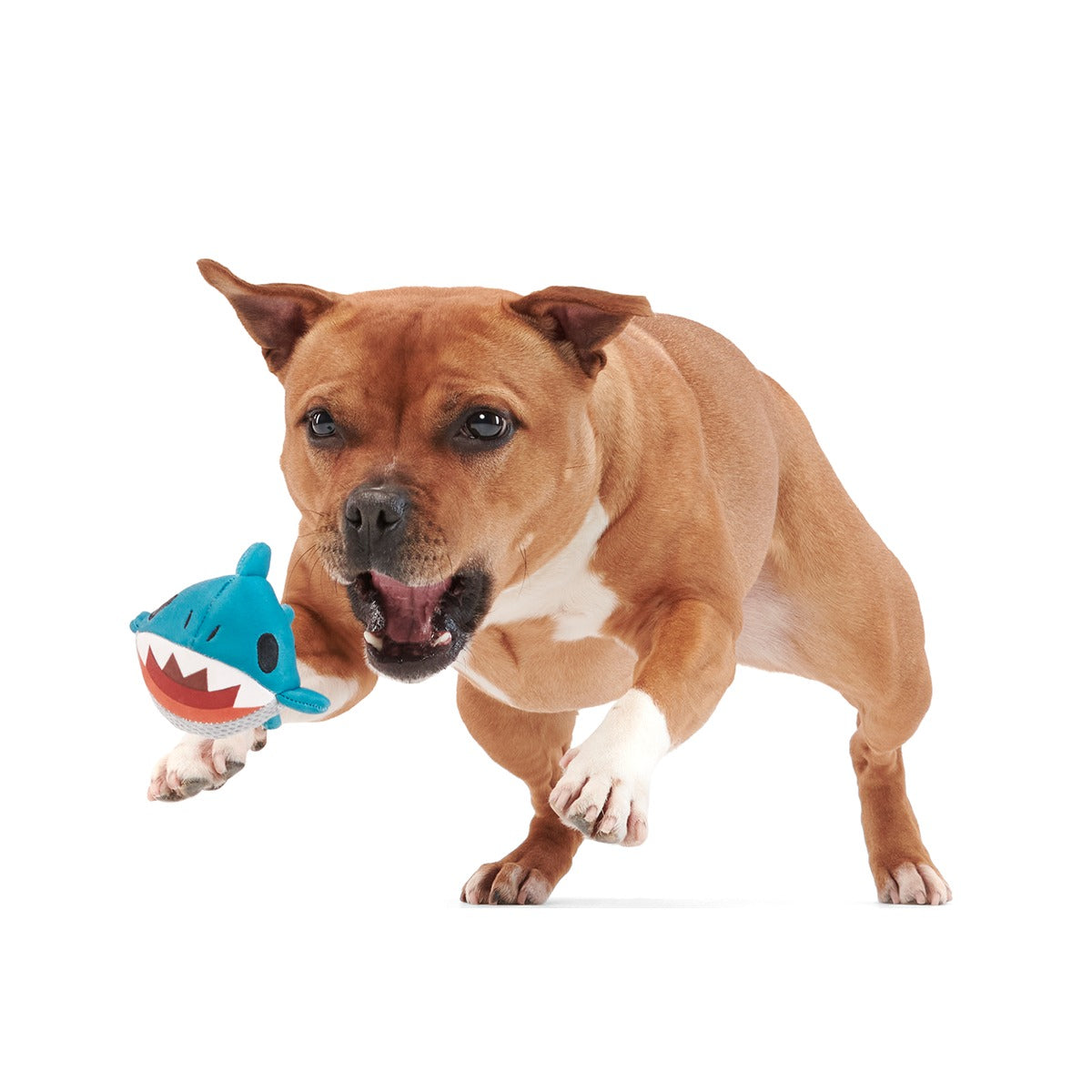 Great White Dwight Super Chewer Durable 2-in-1 + Fetch Dog Toy