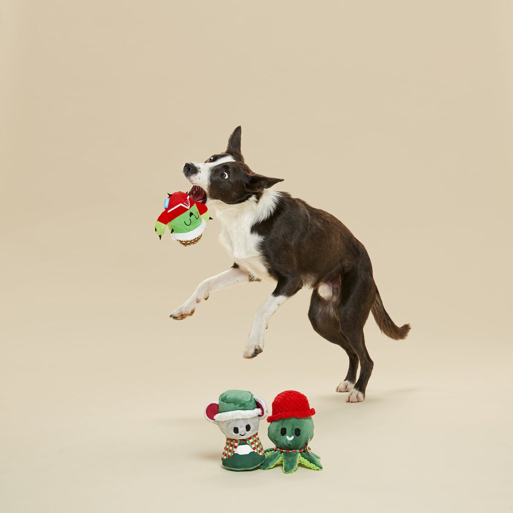 Sing Song Ding Dongs Multipart Plush Multi-Part Dog Toy