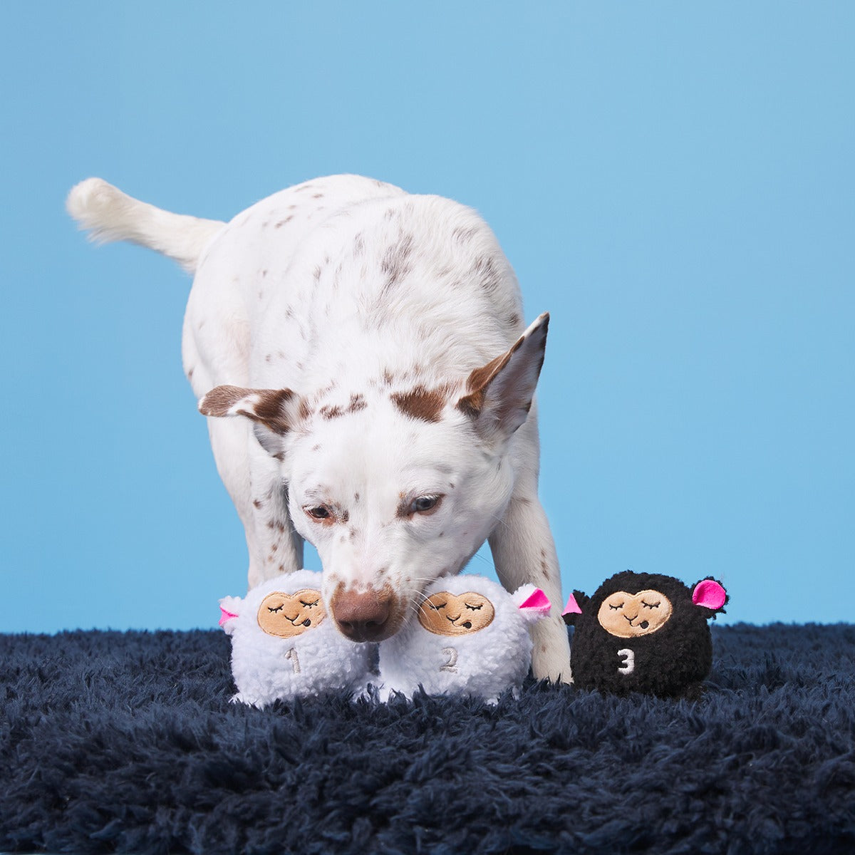 Baa Baa Bark Sheep Plush Multi-Part + Fetch Dog Toy