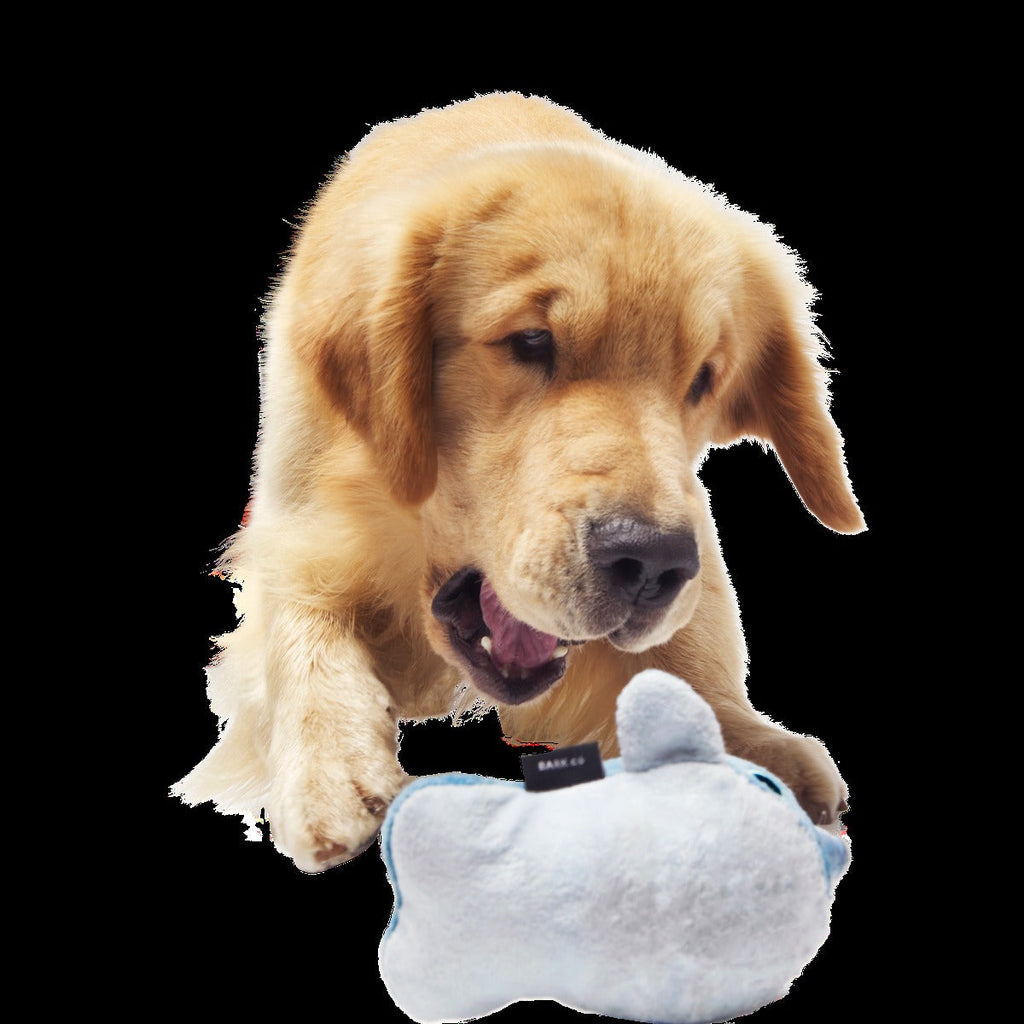Gnaw Whal Durable Super Chewer 2-in-1 Rip and Reveal Dog Toy