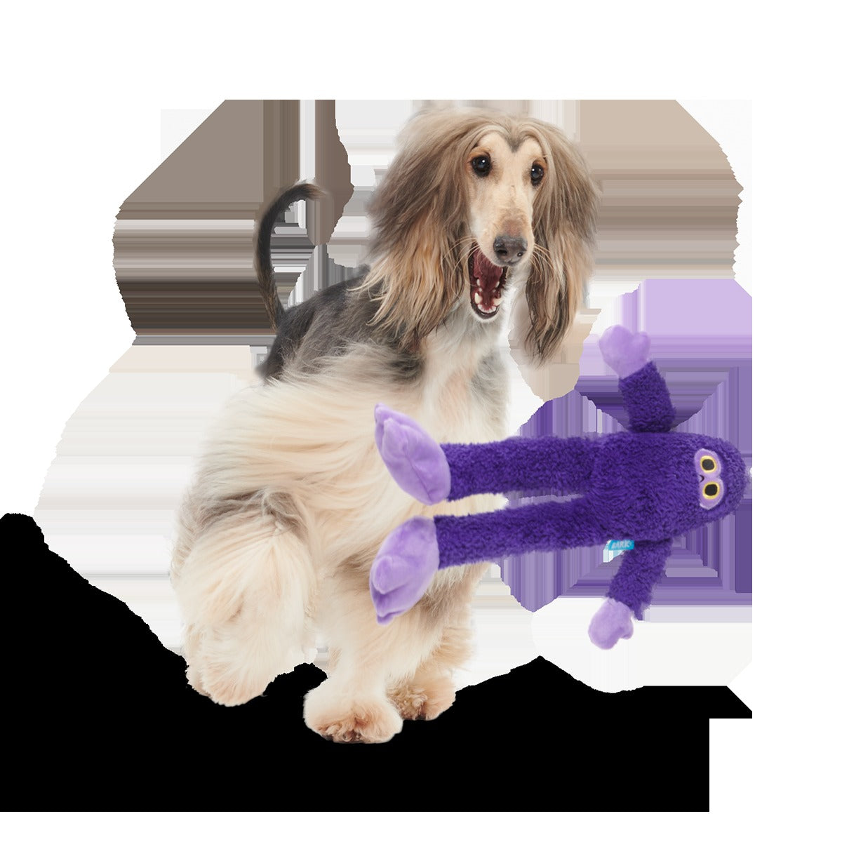 Buddy Bigfoot Plush Tug Dog Toy
