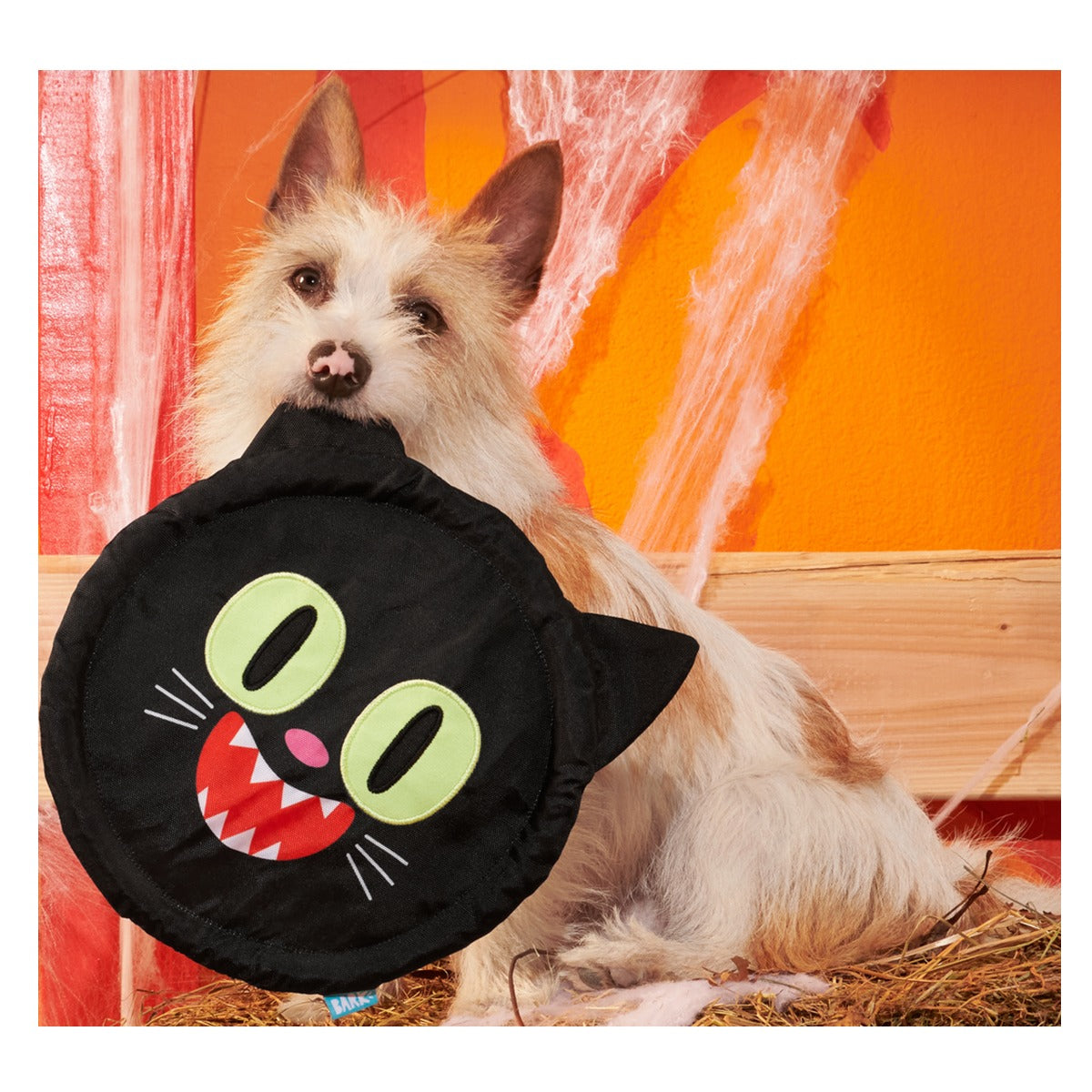 Black Catch Plush Extra-Large + Fetch Dog Toy
