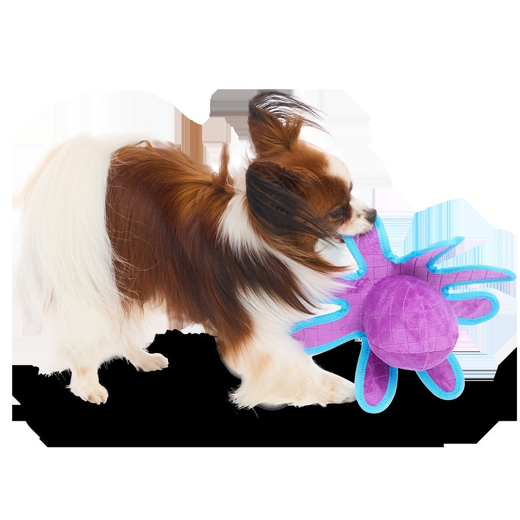 Extra Strength Ollie Plush Tug Dog Toy