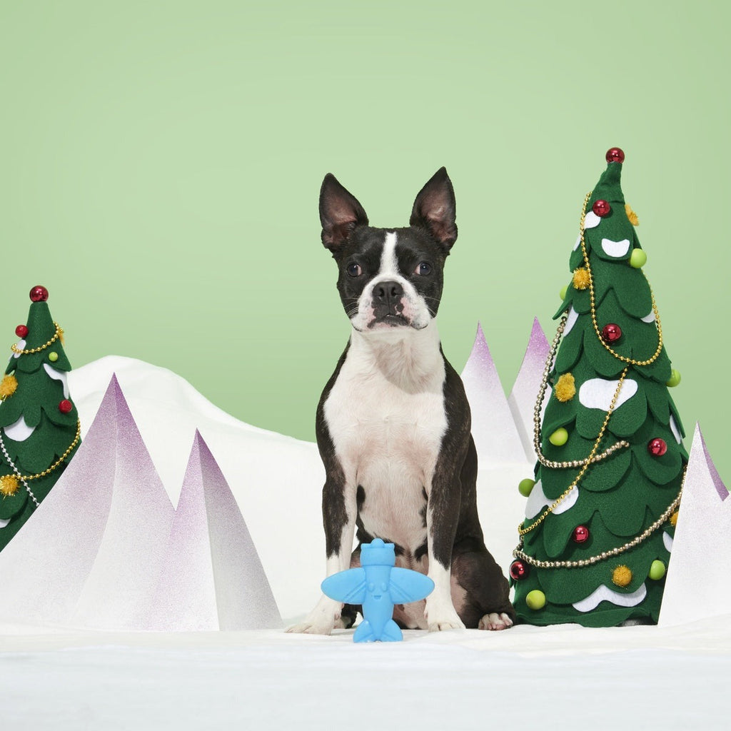 Rudolph® Holiday Super Chewer Gift Box