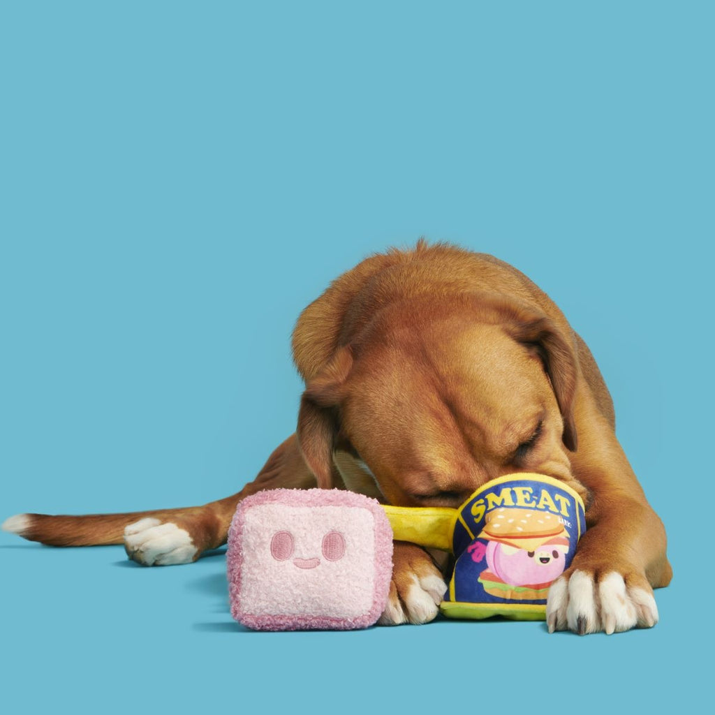 Canned Smeat Plush Multi-Part + Enrichment Dog Toy