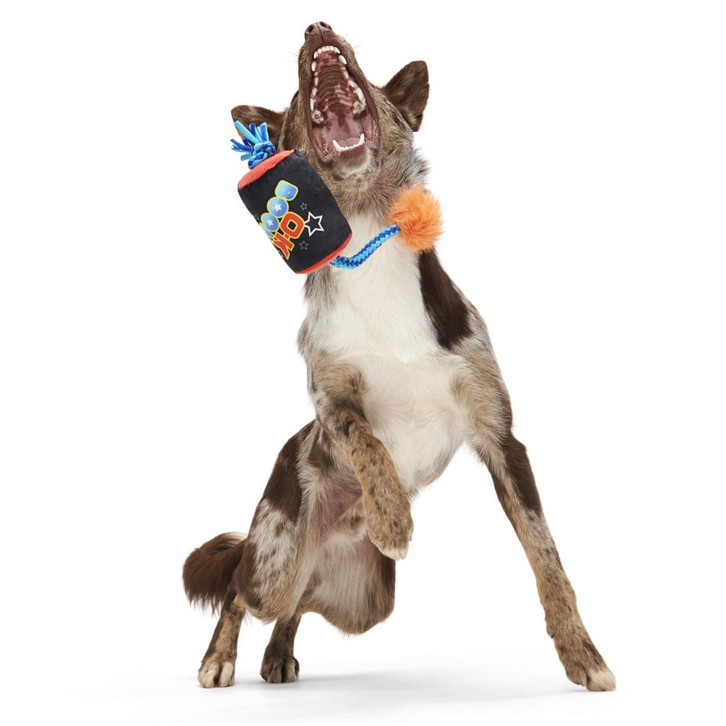 O-K Boomer Plush Tug Dog Toy