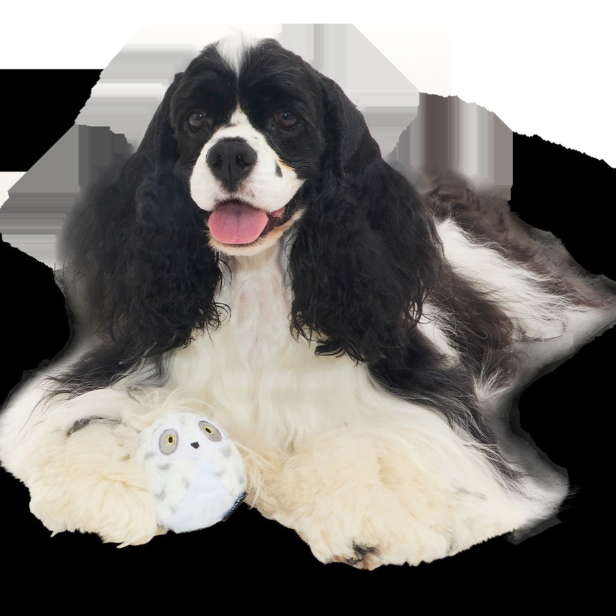 HedwigTM the Owl Super Chewer Durable 2-in-1 + Fetch Dog Toy