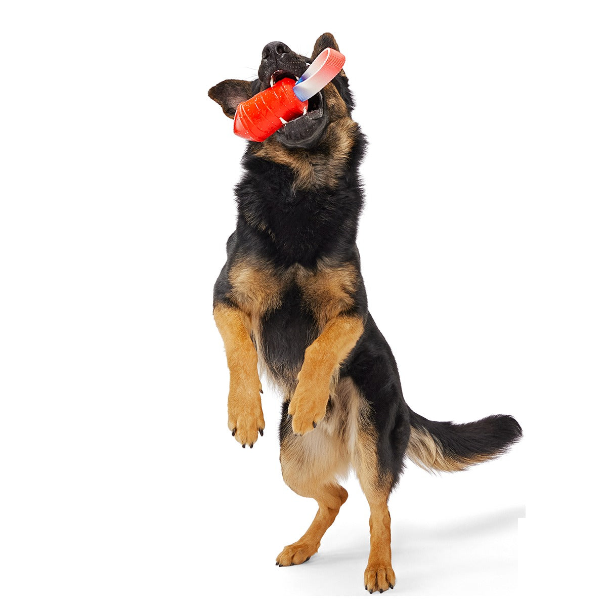 Throwman Candle Super Chewer Durable Tug Dog Toy