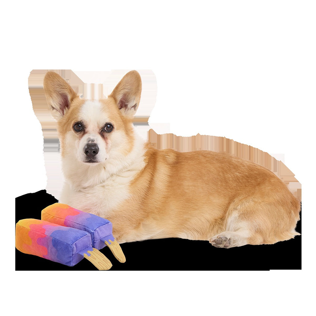 Friends 4Eva Ice Pops Plush Multi-Part + Tug Dog Toy