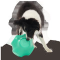 Evergreen Bolder Super Chewer Durable Gnaw Dog Toy