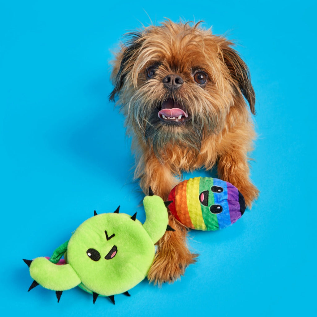 Consuela Comes Out Plush 2-in-1 + Tug Dog Toy