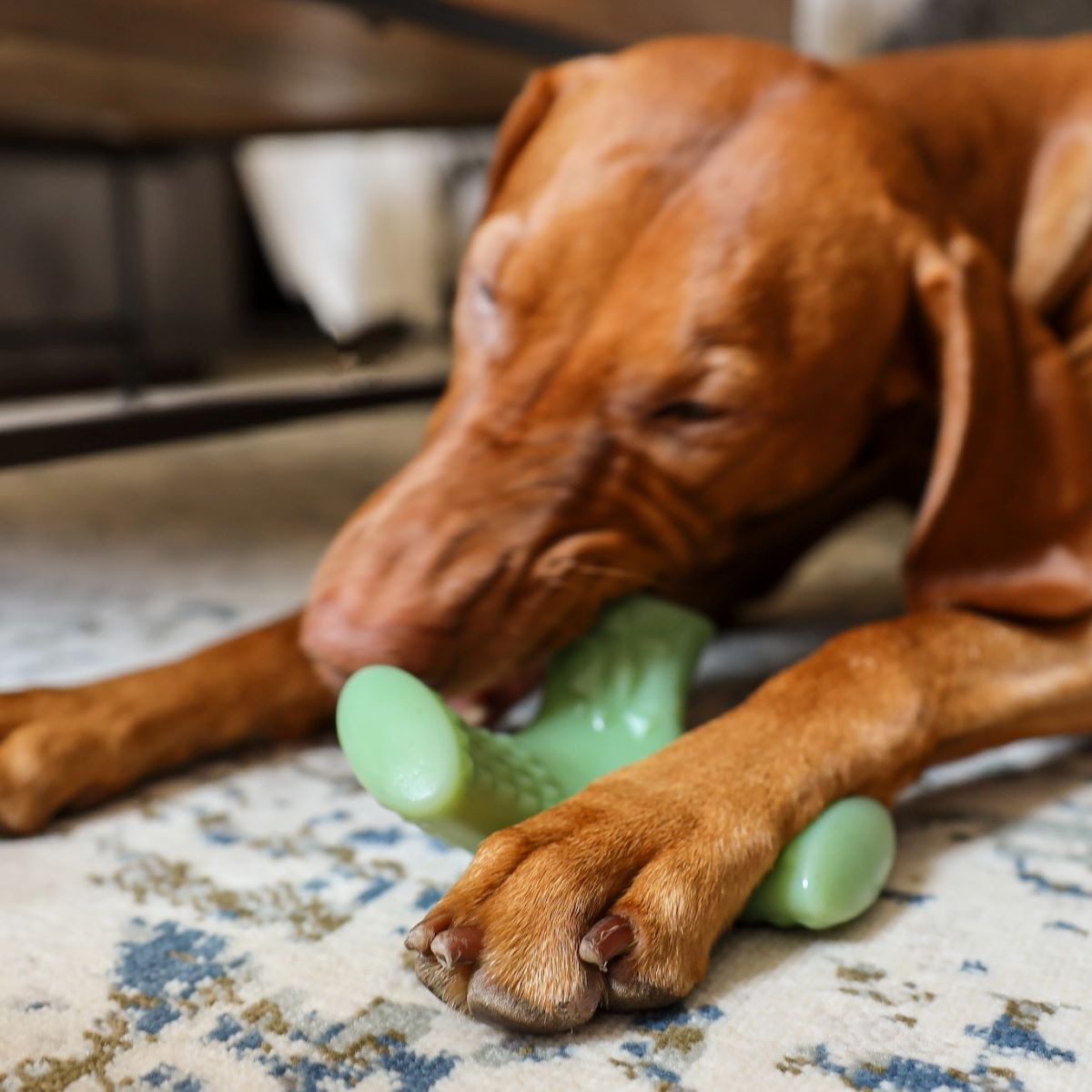 Chopper Super Chewer Durable Gnaw Dog Toy