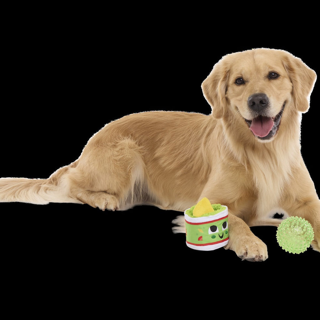 Guac A-Molly Plush Multi-Part + Fetch + Enrichment Dog Toy